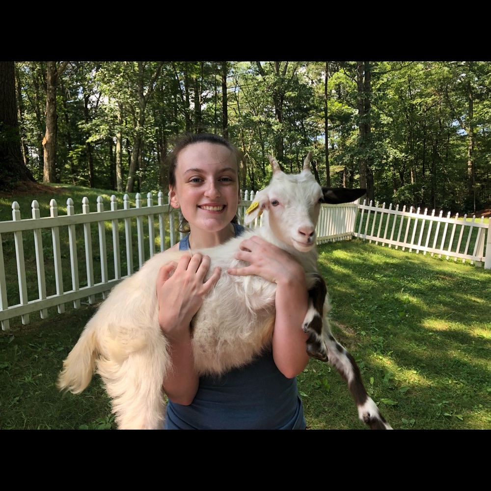 Meet your Posher, Emily